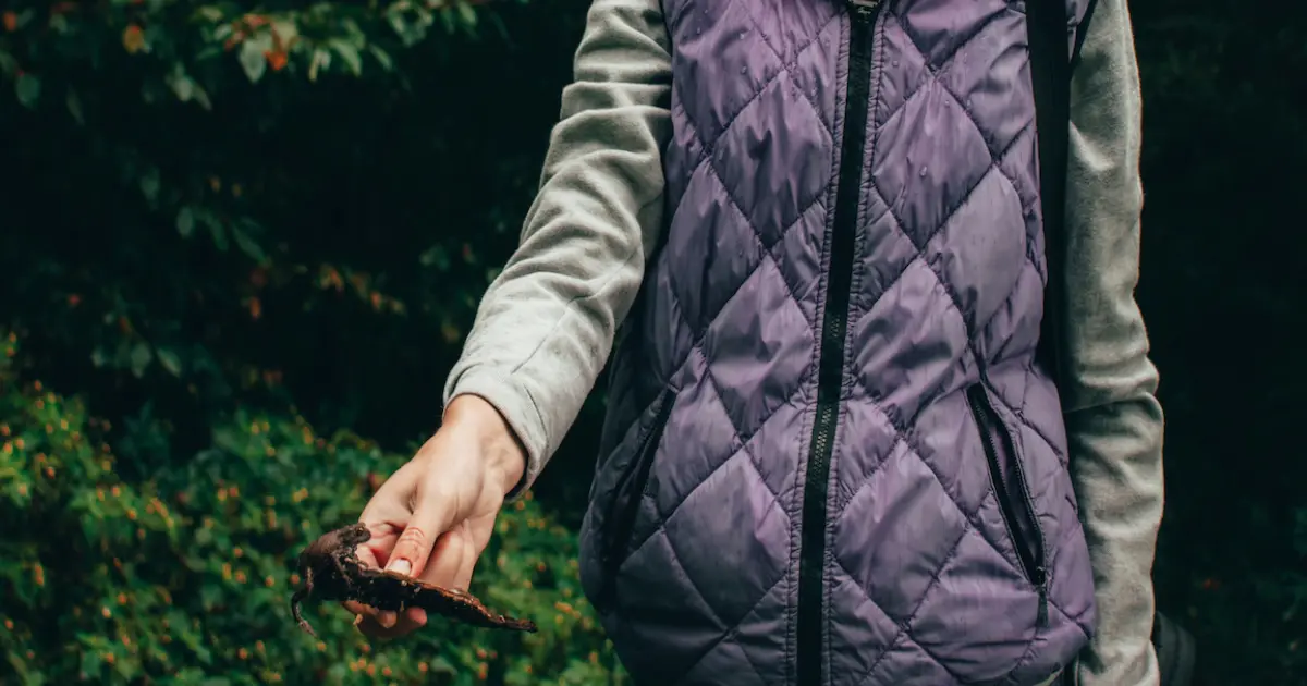 Steppjacken für Damen: 5 Modelle im Vergleich 2026